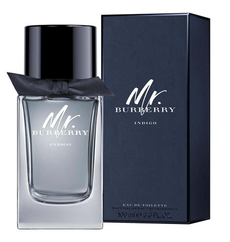 mr. burberry eau de toilette gift set|mr burberry indigo fragrantica.